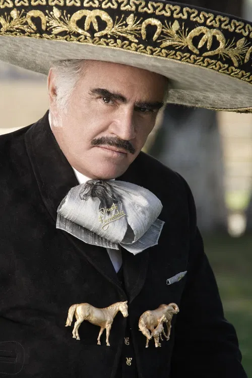 Vicente Fernández profile