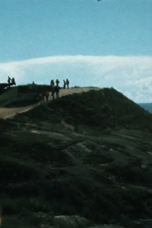 Antti Peippo – The Tourist poster