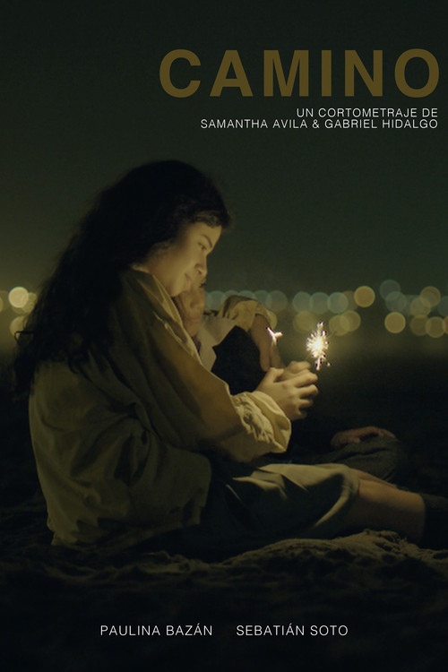 Camino poster
