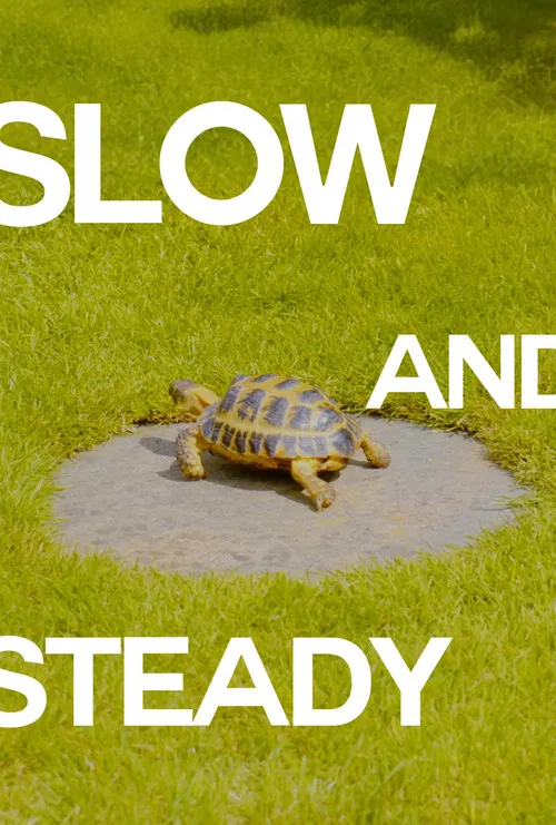 Slow and Steady poster