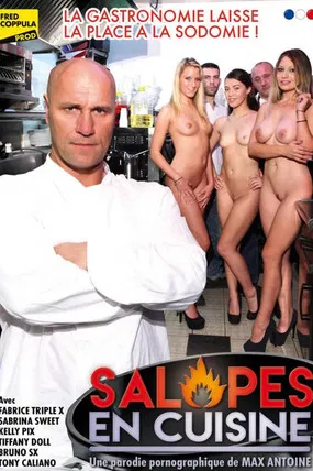 Salopes en cuisine poster