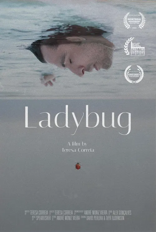 Ladybug poster