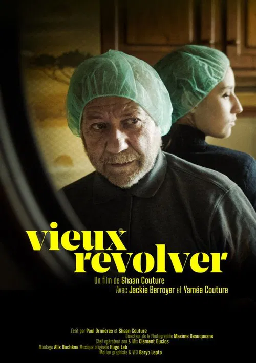 Vieux revolver poster