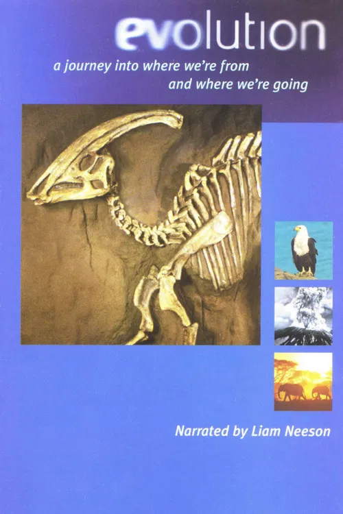 Evolution - Darwin's Dangerous Idea poster