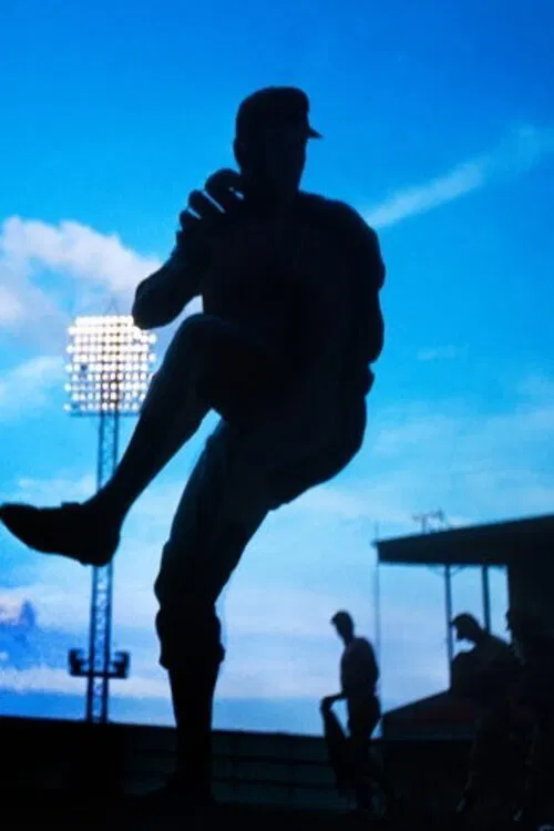 GOATs: The Greatest of All Time poster