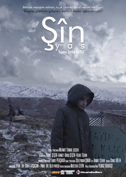 ŞİN poster
