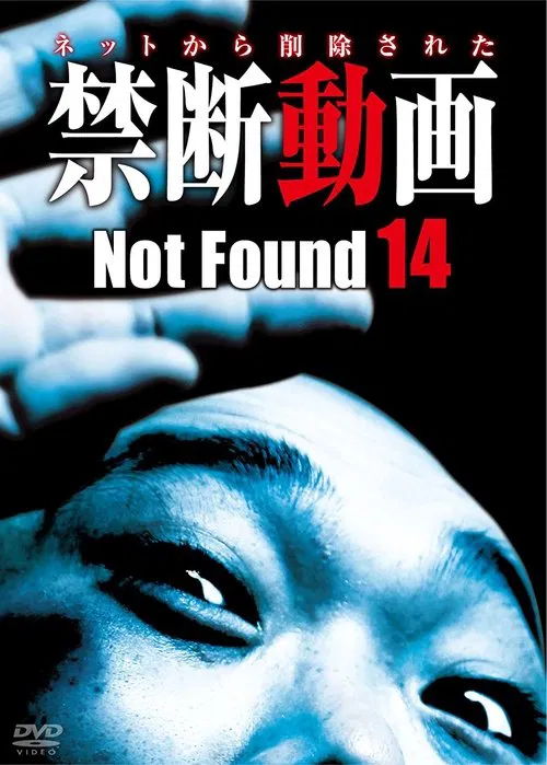 Not Found 14 poster