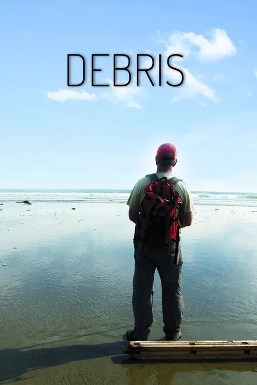 Debris poster