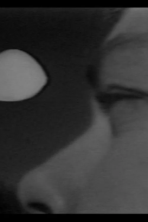 Lanesville UFO Incident poster