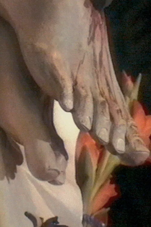 The Silence Is Baroque poster