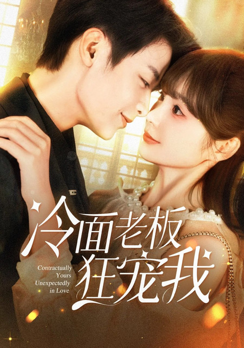 冷面老板狂宠我 poster