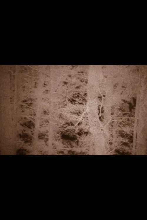 The Hollow Mountain poster