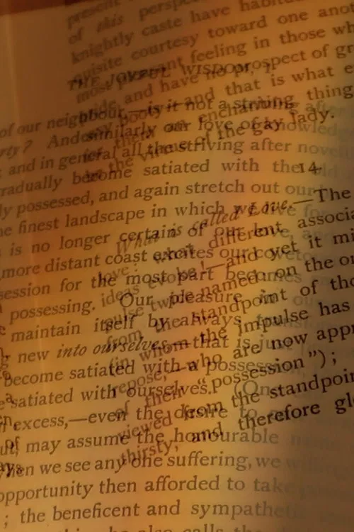 Images Out of Season poster