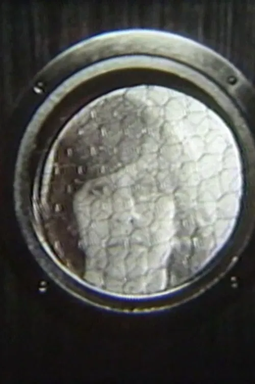 Elevator/Dance poster