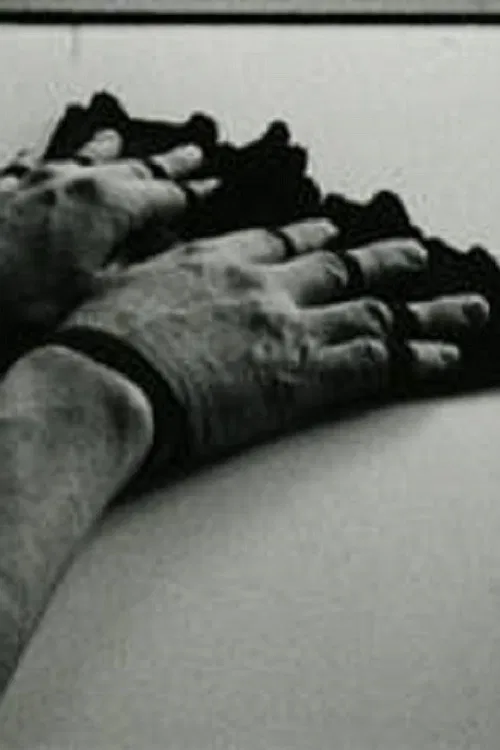 Fingerfächer poster