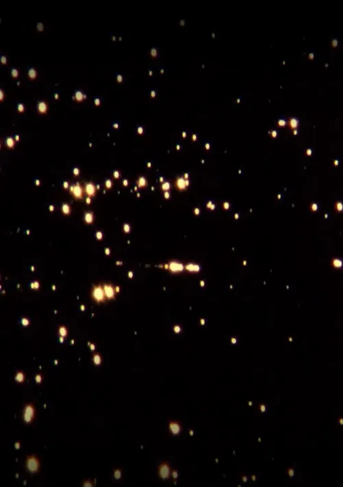 Tigre del Carbón poster