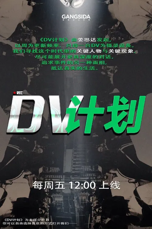 DV计划 poster