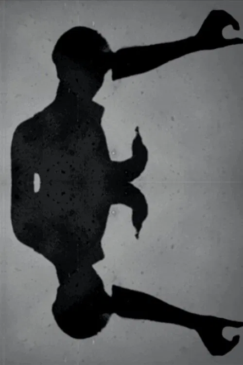 투명한 움직임 poster