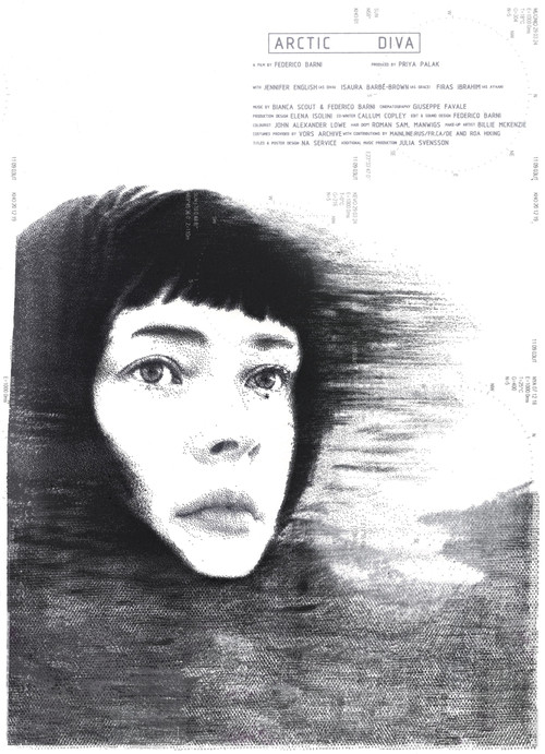 Arctic Diva poster