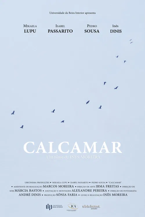 Calcamar poster