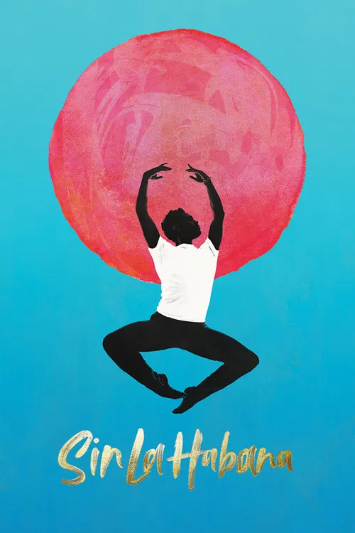 Without Havana poster