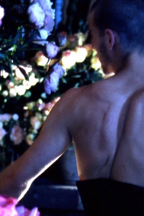 Quelques fleurs pour un chant d'amour poster