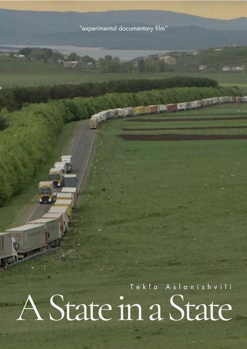 A State in a State poster