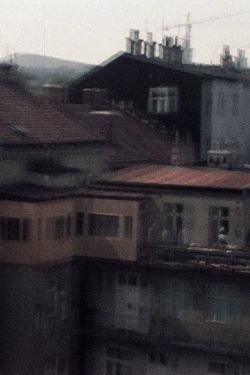 33/77 No Danube poster