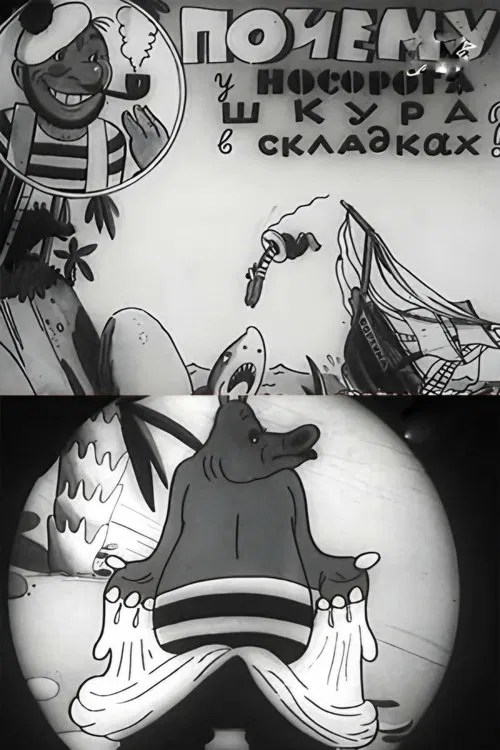 Why Does a Rhino Have Skin Folds? poster