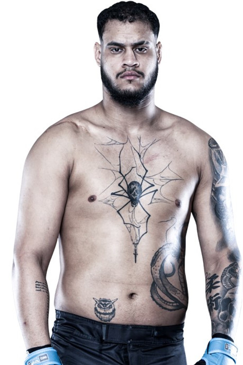 Tallison Teixeira profile