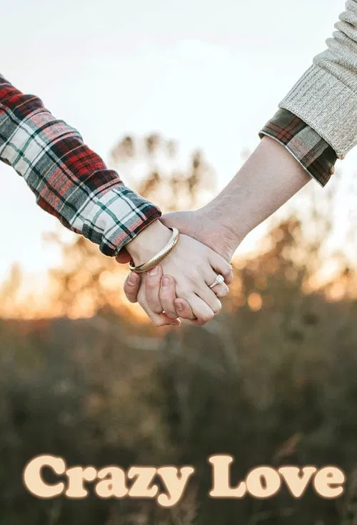 Crazy Love poster