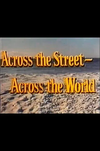 Across the Street—Across the World poster