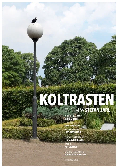 Koltrasten poster