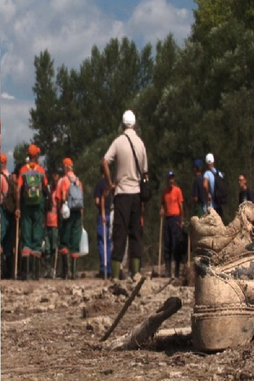 A Day on the Drina poster