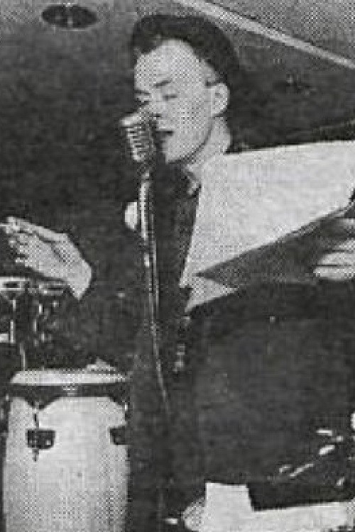 The Search for Bogomil Font poster