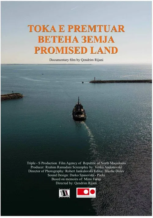 The Promised Land poster