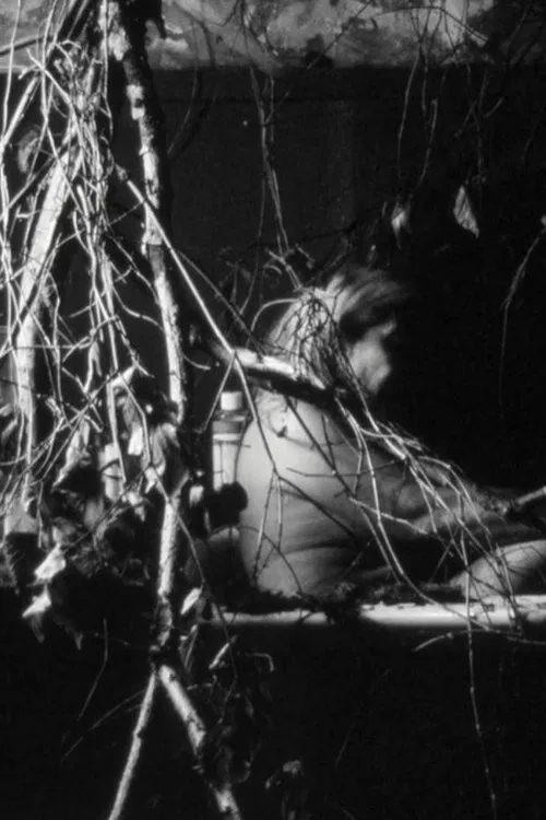 Days of doubt poster