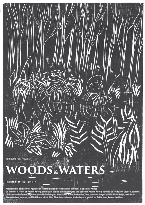 Woods and Waters poster