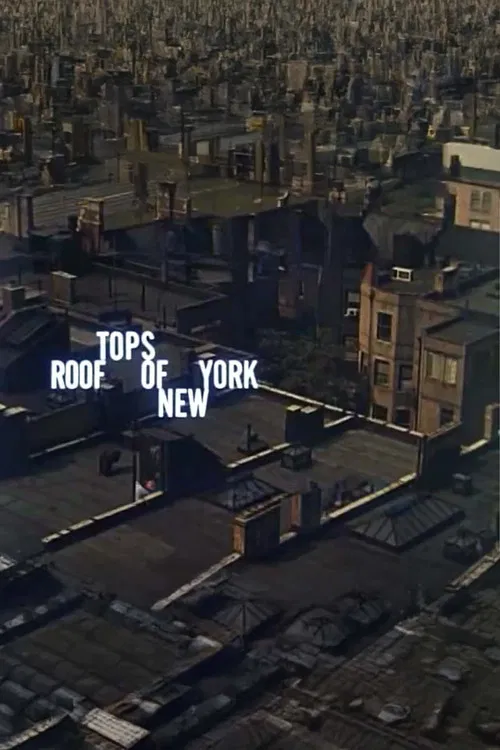 Rooftops of New York poster