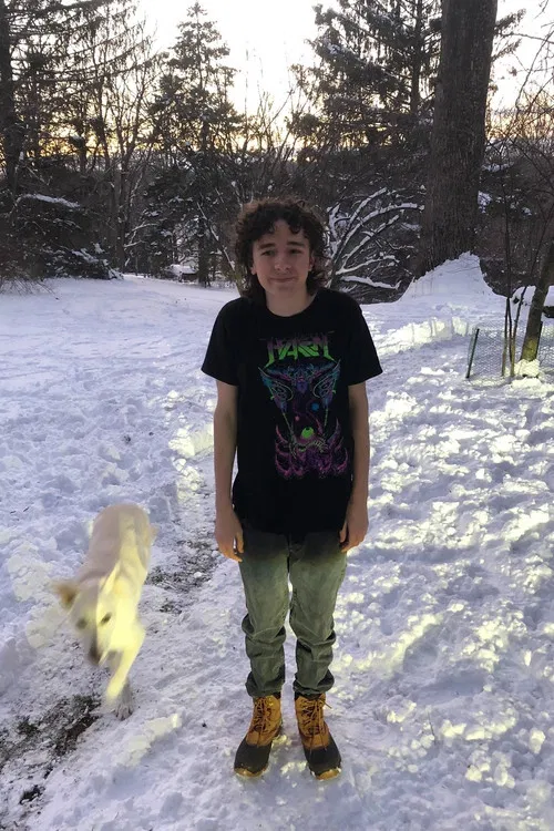 Newton Bersch profile