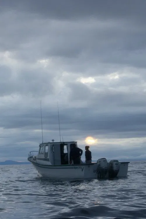 Some Saturdays poster