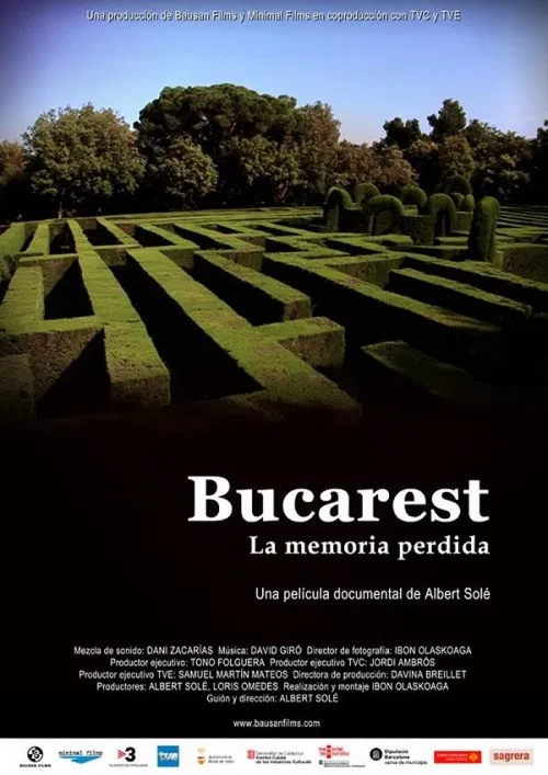 Bucarest, la memòria perduda poster
