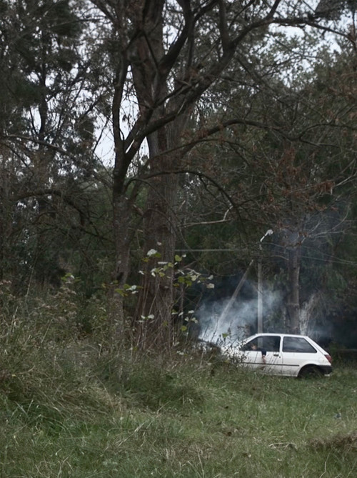 La mujer que usaba esparcidas las ondas del pelo poster