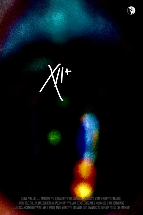 12 And More Omissions poster