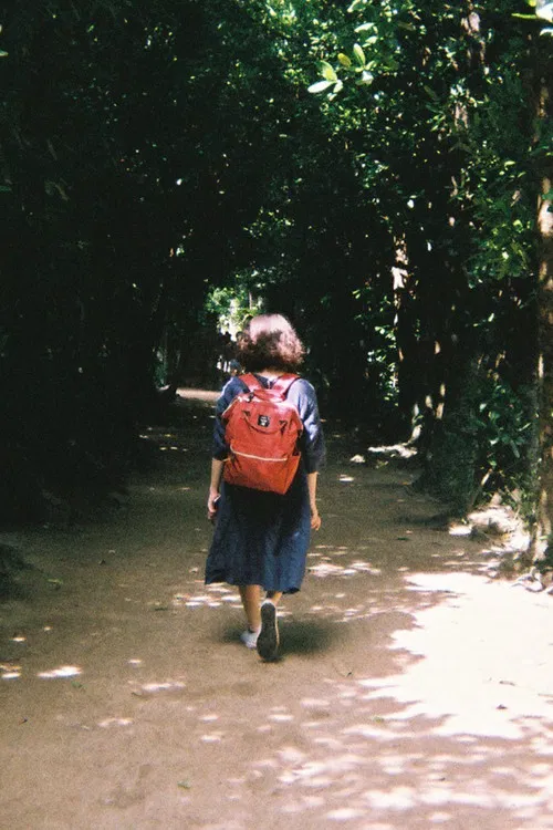 Akino Fukuji profile