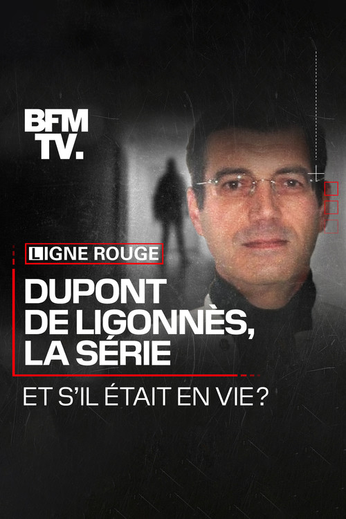 Dupont de Ligonnès, la série poster