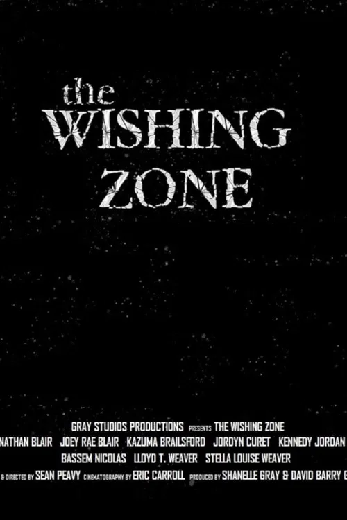 The Wishing Zone poster