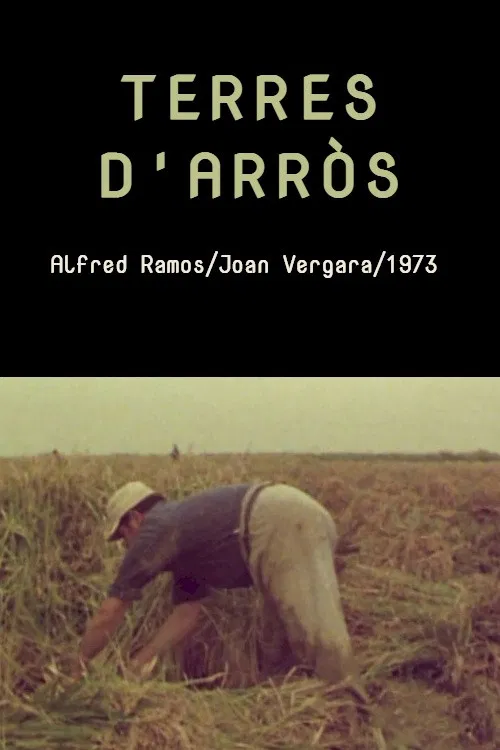 Terres d'arròs poster