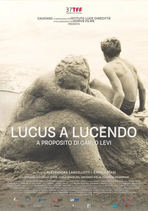 Lucus a Lucendo - A proposito di Carlo Levi poster