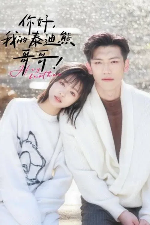 你好我的泰迪熊哥哥 poster